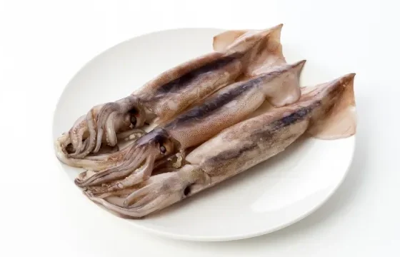 スルメイカ